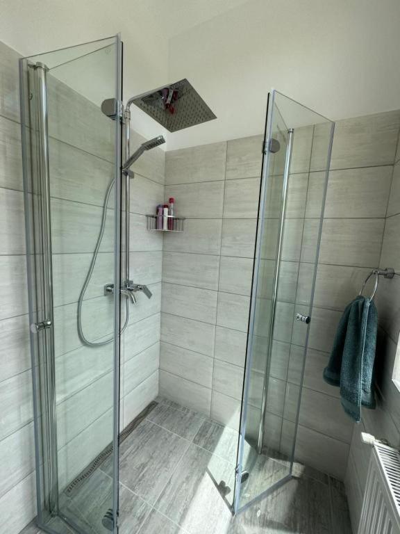 טימישוארה Apartament Victoria מראה חיצוני תמונה