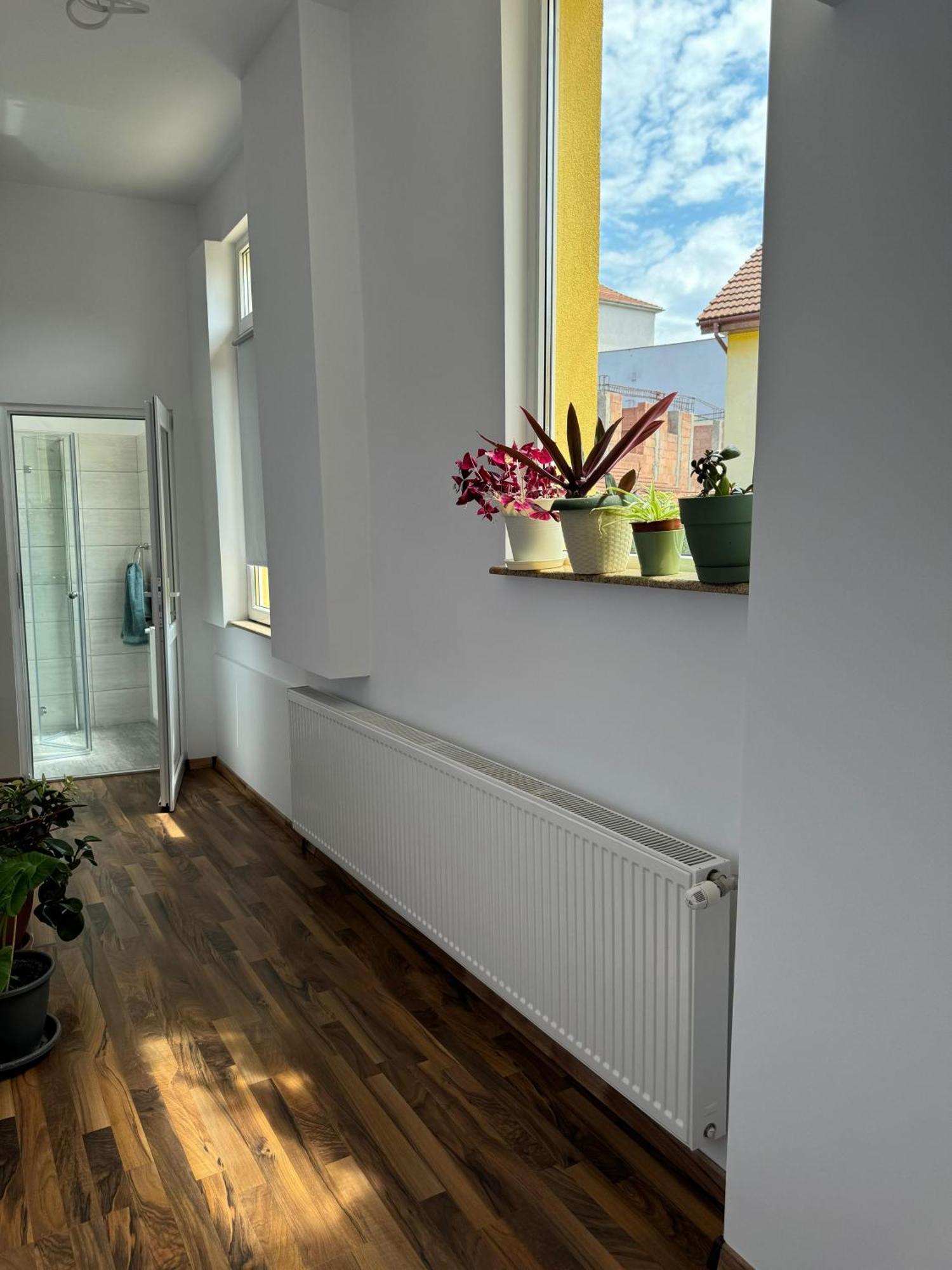 טימישוארה Apartament Victoria מראה חיצוני תמונה