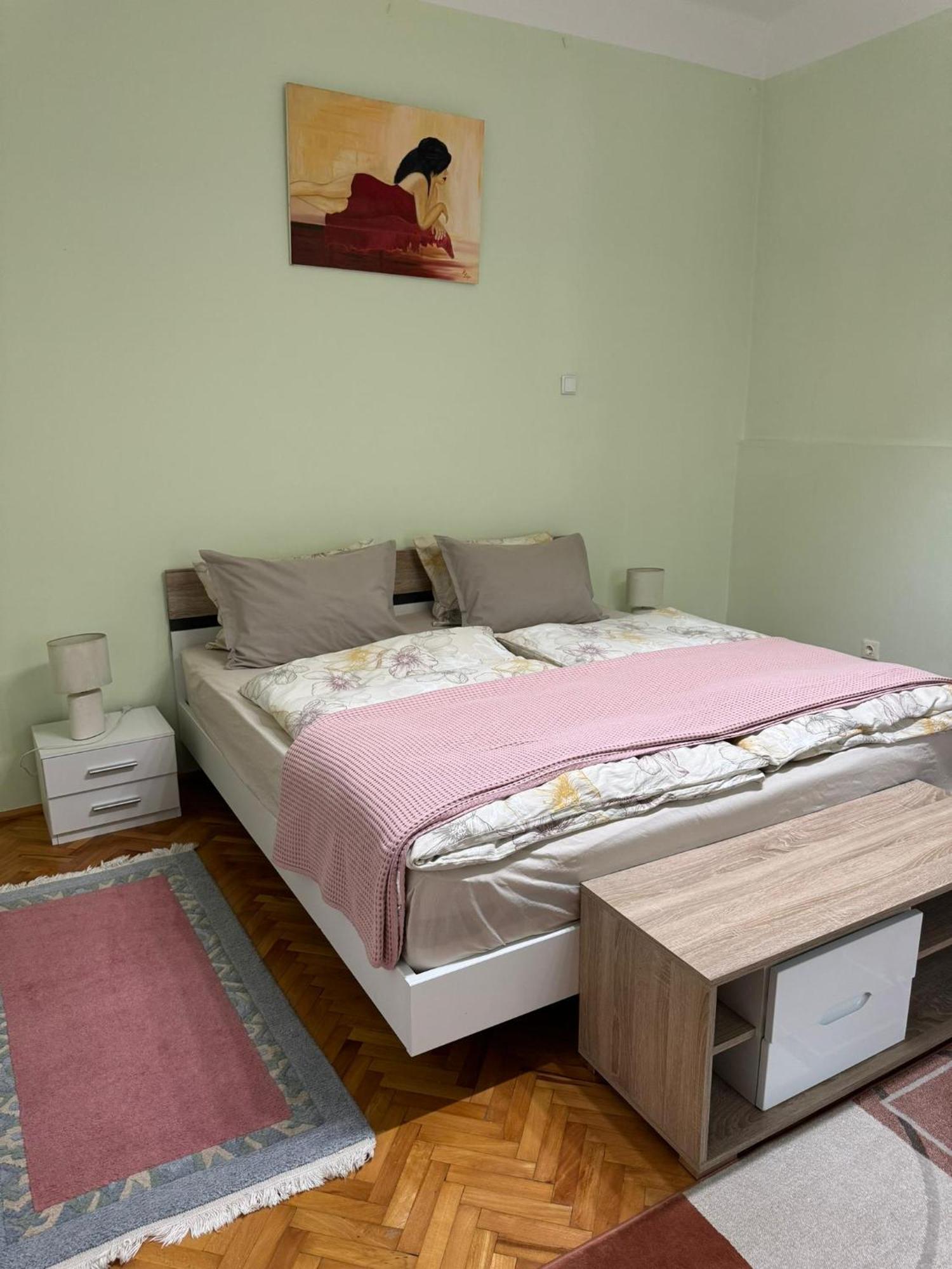 טימישוארה Apartament Victoria מראה חיצוני תמונה