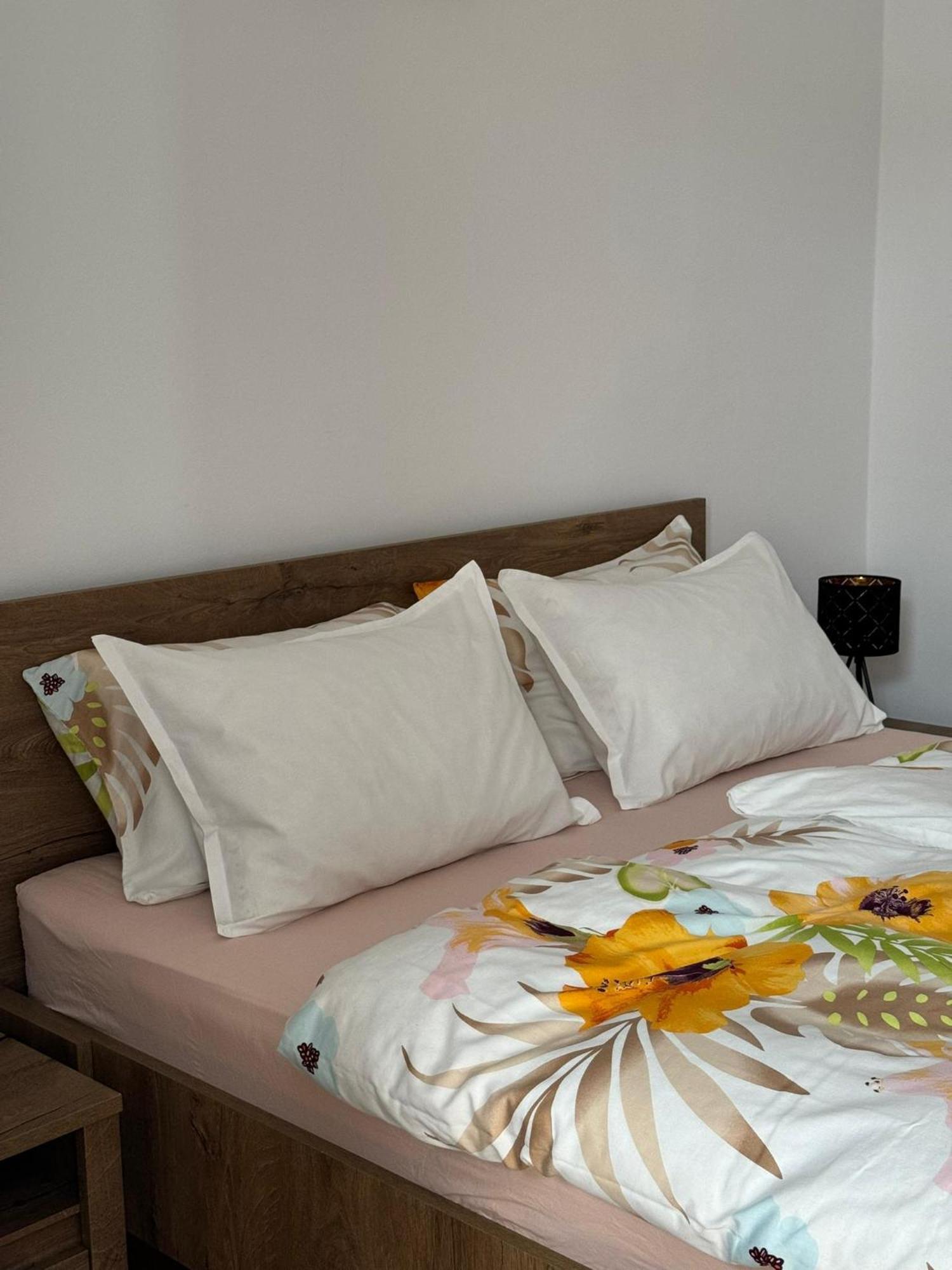טימישוארה Apartament Victoria מראה חיצוני תמונה
